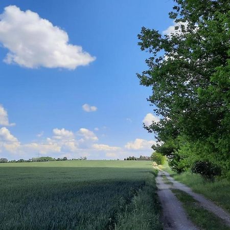 Vierseitenhof Hasenfelde - Ferienwohnung Feldblick Steinhofel Exteriér fotografie