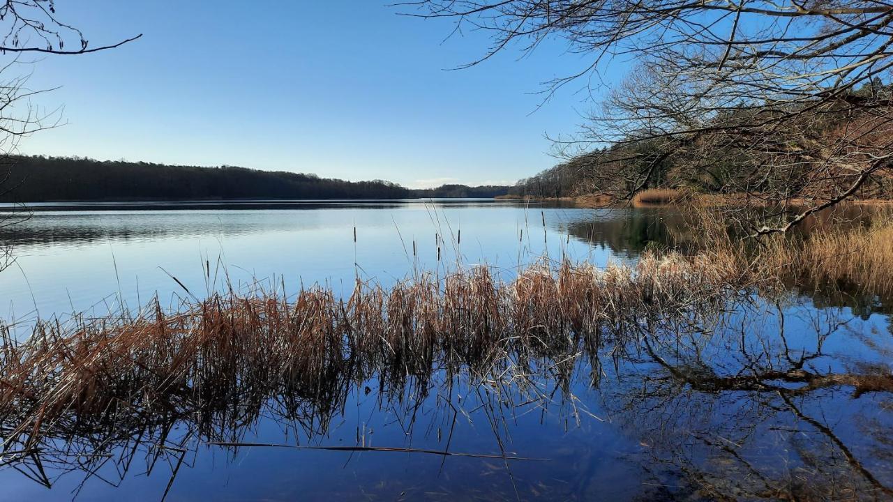 Vierseitenhof Hasenfelde - Ferienwohnung Feldblick Steinhofel Exteriér fotografie