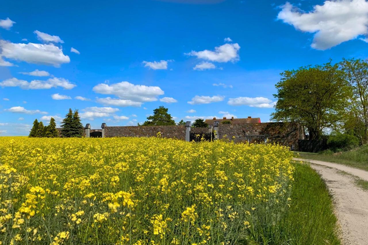 Vierseitenhof Hasenfelde - Ferienwohnung Feldblick Steinhofel Exteriér fotografie